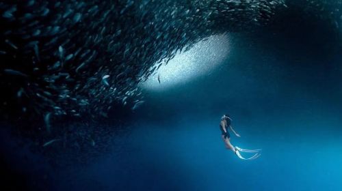 Philippines Mobao shared tour one-day tour: Sardines Storm + Kawasun River Tracing + Snorkeling and Chasing Turtles Day Tours