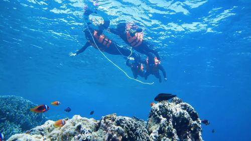 1-Hour diving Experience in Taitung [Lanyu Ocean Snorkeling Experience (with Free Photography)]