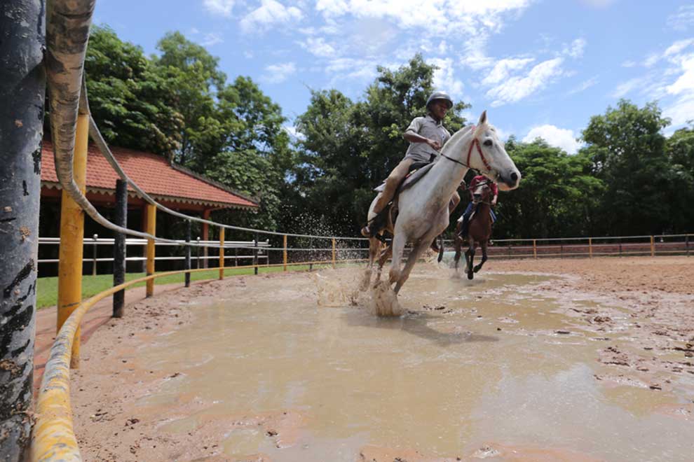 Siem Reap Happy Horse Riding