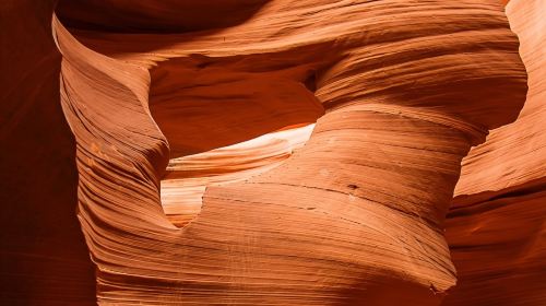 United States: Lower Antelope Canyon hiking tour [Priority noon time slot] Day Tours