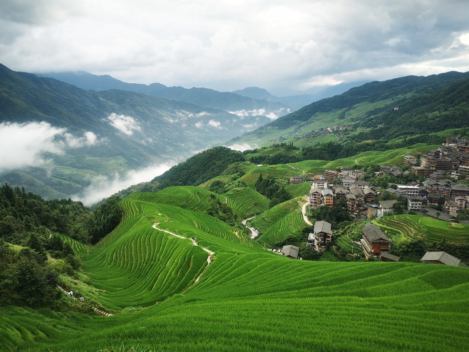 Longji Rice Terraces