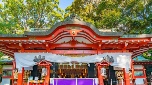 1-day tour to Izu Atami Plum Garden & Shuzenji hot spring maple viewing spots Day Tours