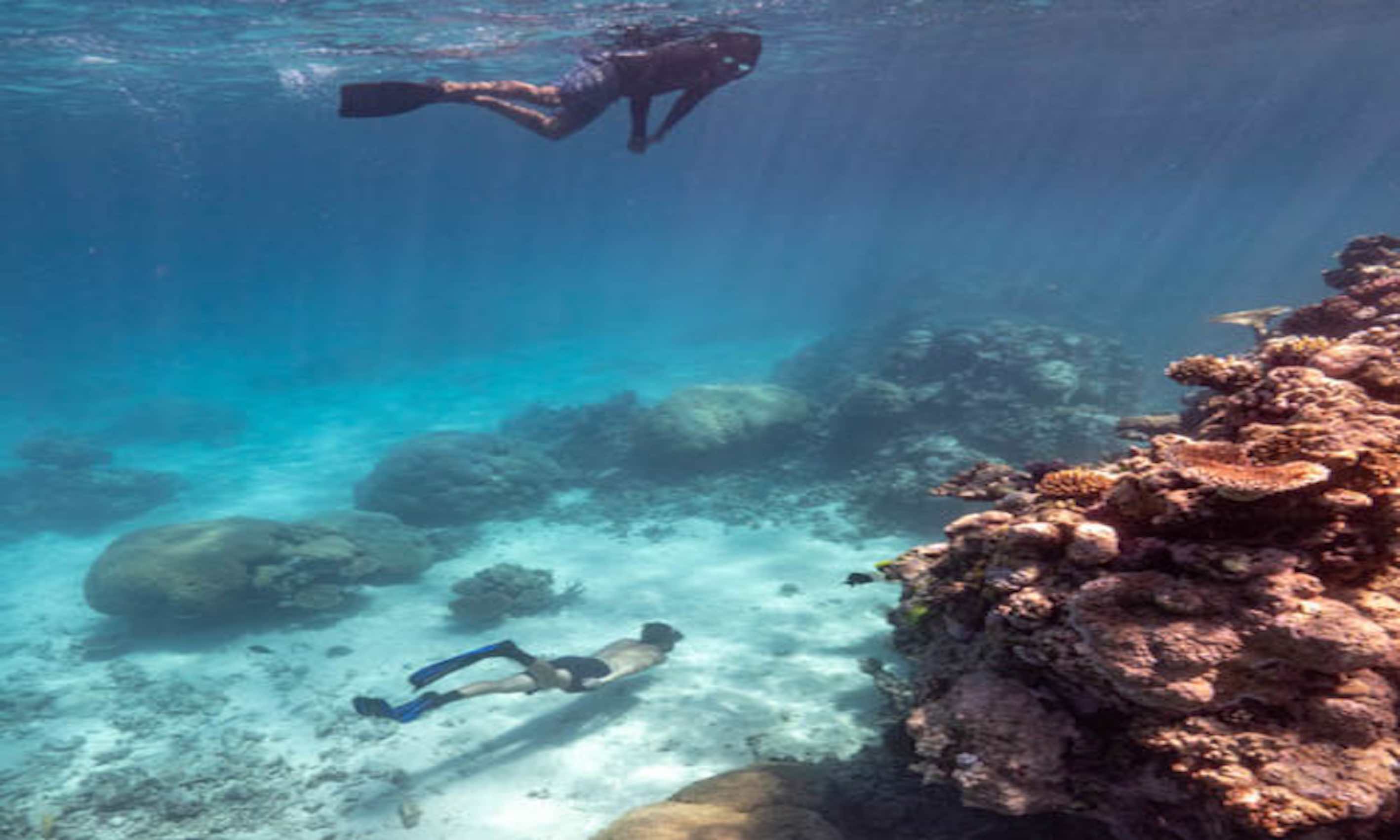 Snorkel & Dive Tour