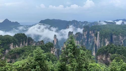 Private Day Tour to Zhangjiajie National Forest Park (Most Popular Spots)