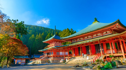 1-day tour to Enryaku-ji Temple on Mount Hiei, Omihachiman, and Kyorinbo Temple's red maple illumination Day Tours