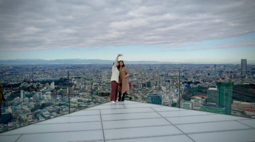 2-hour Shibuya tour: Shibuya Sky observation deck, scramble crossing and pop culture highlights Day Tours