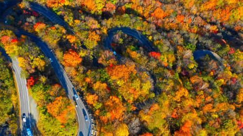 1-day tour to Nikko Toshogu Shrine + Lake Chūzenji: Irohazaka Winding Road/Kegon Waterfalls/Departing from Tokyo Day Tours