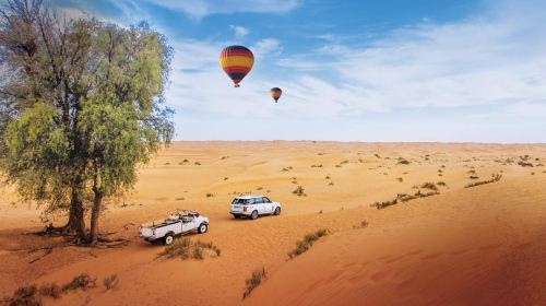 Dubai Desert hot air balloon ride Experience Half Day Tour [Including breakfast, Falconry Show, Camel Riding Experience] Day Tours