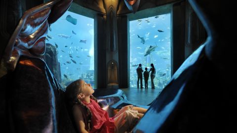 Atlantis The Lost Chambers Aquarium