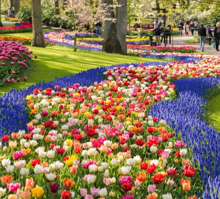 Warmond: Windmill Cruise and Keukenhof Entry Ticket