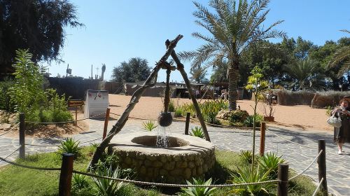 Abu Dhabi City Tour from Dubai with Grand Mosque Day Tours