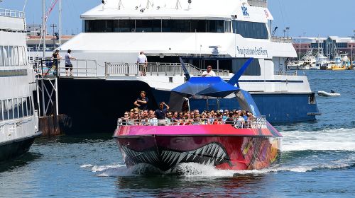 one-day tour to New England Aquarium in Boston, USA [Boston Whale Watching Tour] Day Tours
