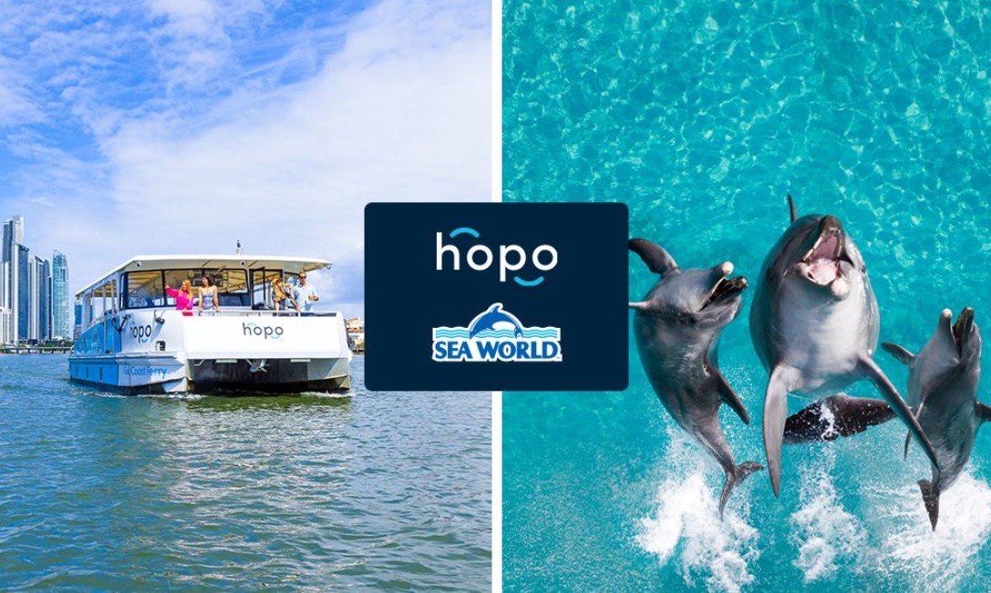 Sea World Entry & Hopo Ferry Return Transfer Combo