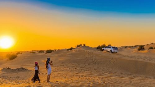 Premium Evening Dessert Safari with BBQ Dinner & Camel Ride Day Tours