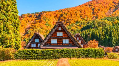 [Depart from Nagoya] Explore the Gassho Village of Shirakawa-go · Alpine Tour · Optional 9-person Small Group Day Tours