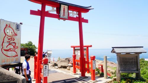 1-day tour of Mojiko Retro + Karato Fish Market + Tsunoshima Bridge + Motonosumi Shrine in Kitakyushu, Japan Day Tours