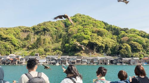Amanohashidate & Ine Fishing Village Day Tour from Kyoto or Osaka Day Tours