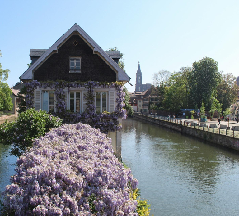 Strasbourg: Walking Tour with Local Guide