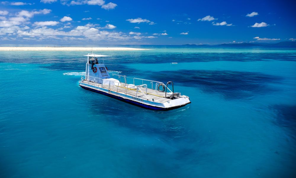 Michaelmas Cay Sailing Cruise