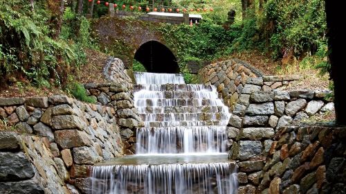 Alishan National Forest Recreation Area Day Tour From Taichung/Chiayi/Kaohsiung Day Tours