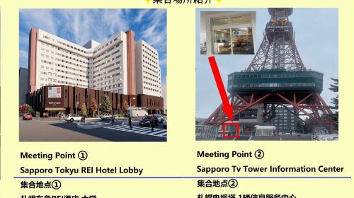 From Sapporo: Hokkaido Highlights Day Trip Day Tours