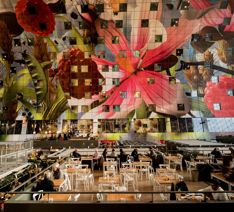 Rotterdam: 2-Hour Guided Walking Tour