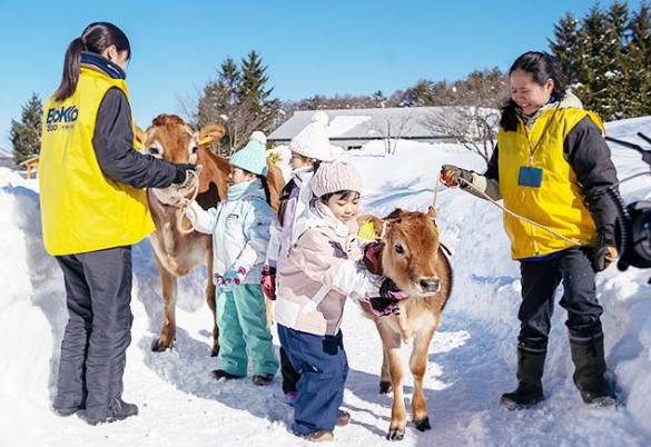 Gunjo Hachiman & Mokuka no Sato Snow Park + Hot Spring Day Trip
