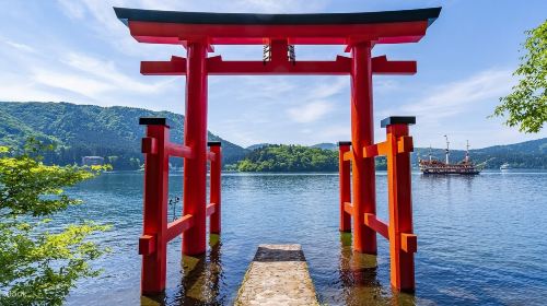 1-day tour of Peace Torii + Owakudani + pirate ship + Oshino hakkai in Hakone, Japan Day Tours