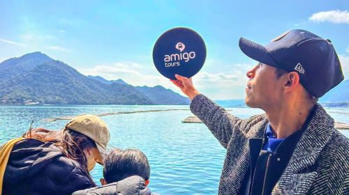 From Kyoto: Hiroshima and Miyajima Day Trip by bullet train Day Tours