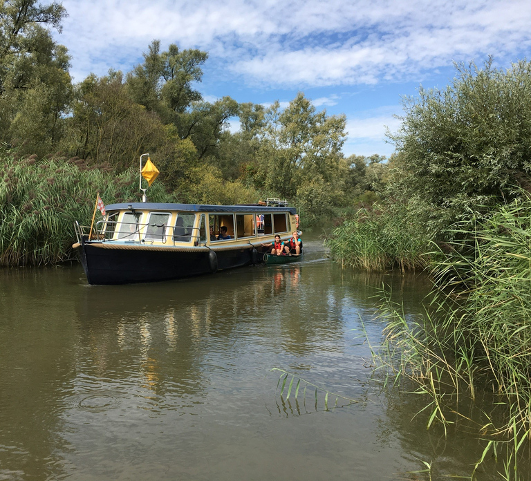 Werkendam: Boat Cruise and Biesbosch Museum Entry Ticket