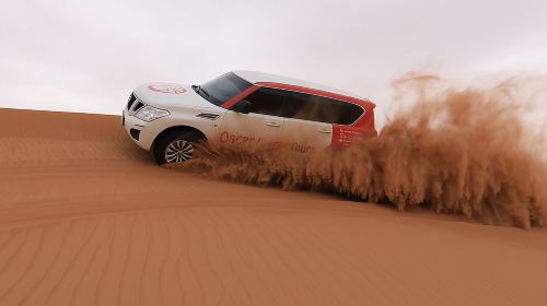 High Red Dunes with Camel Ride, Sandboarding, Falcon Show and VIP BBQ Dinner Day Tours