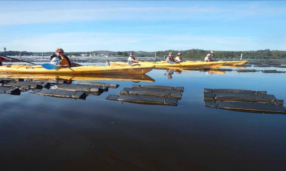 Batemans Bay Oyster Tasting Kayak Tour
