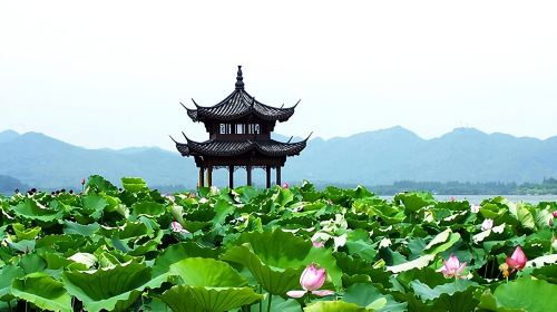 Hangzhou: Heaven on Earth Day Trip from Shanghai including West Lake Cruise Day Tours