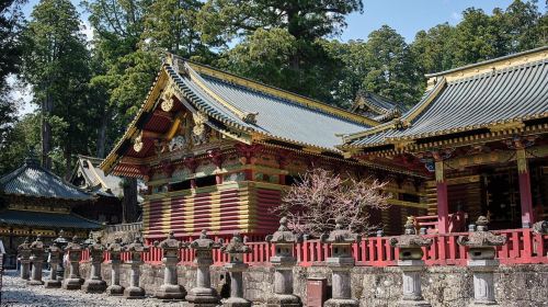 Tokyo to Nikko: Day Trip Custom Day Tour Day Tours