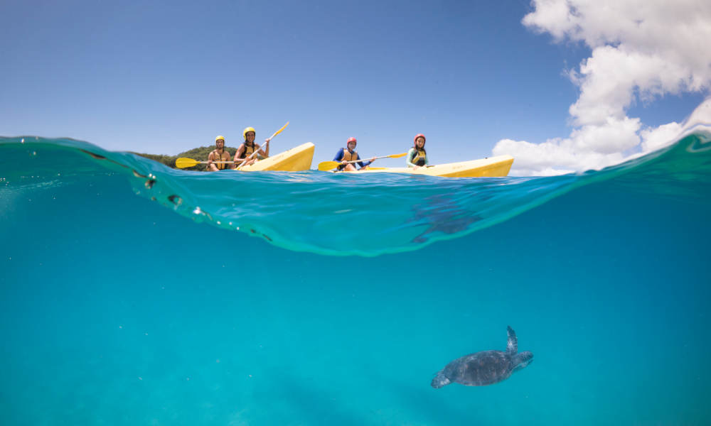 Byron Bay Dolphin Kayaking Tour