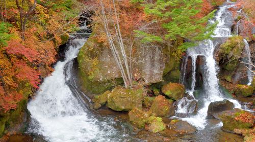 Toshogu Kegon Falls Lake Chuzenji one-day tour