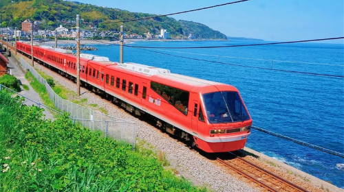 1-day holiday tour for small groups of 9: Izu Kyuko Line + Jogasaki Coast + Mt. Omuro, including train tickets Day Tours