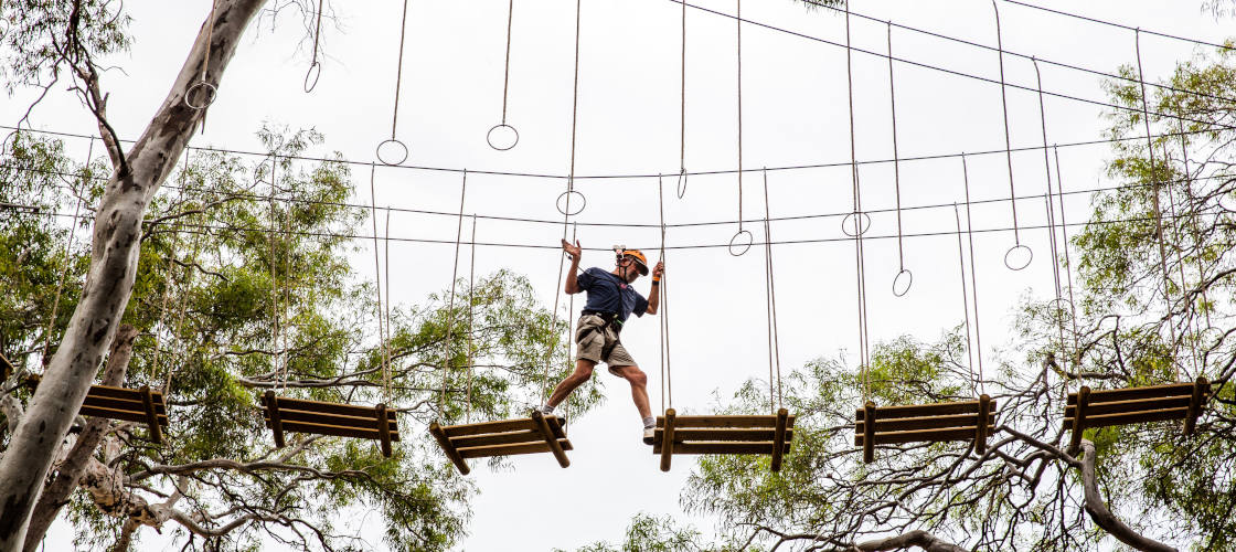 Adelaide TreeClimb Grand Course