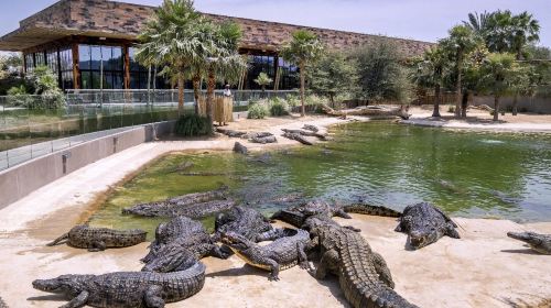 Dubai Crocodile Park