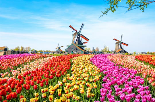 Zaanse Schans walking self-guided audio tour