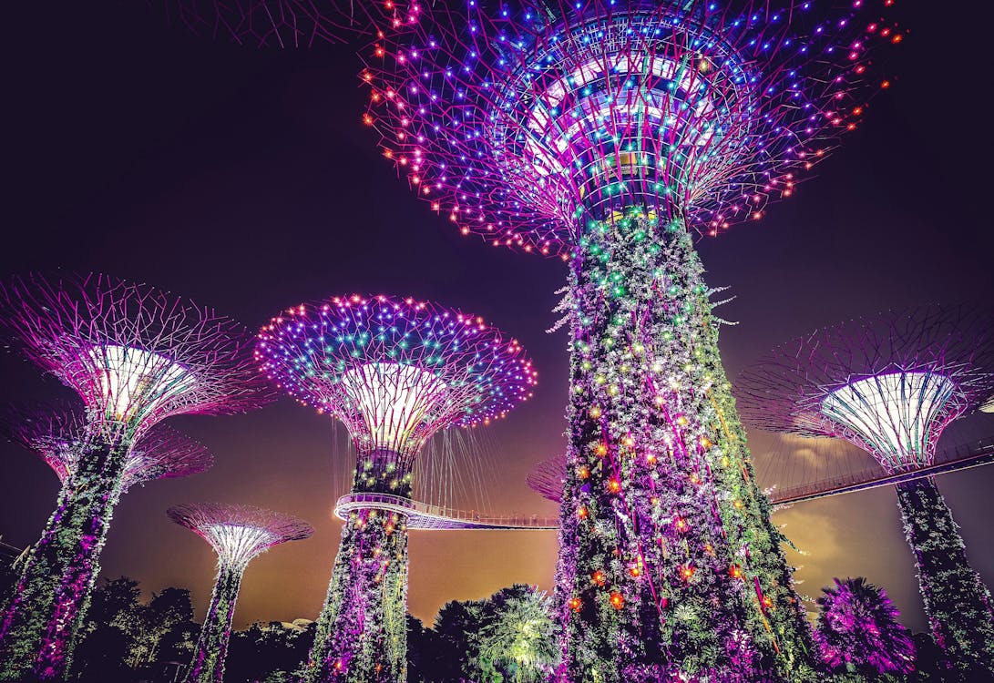Gardens by the Bay with Return Transfer