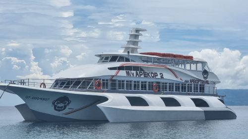 Bohol-Oslob round-trip boat ticket | Efficient round-trip route for quick whale shark viewing Transport Passes