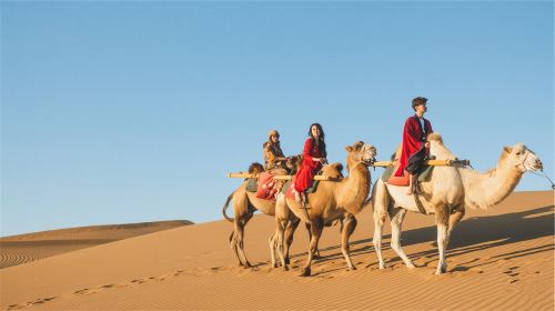 Dubai Desert Camp Experience 1-day tour(Dusk Safari, Camel Ride, Camp BBQ, Overnight Stargazing) Day Tours