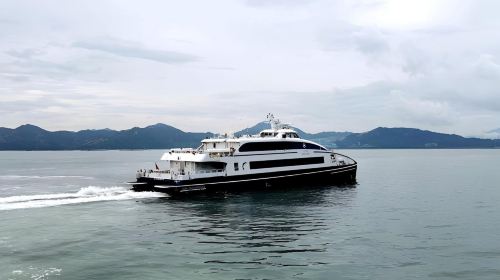 Shenzhen Shekou Port to Hong Kong Sheung Wan Hong Kong–Macau Ferry Terminal one-way high-speed direct ferry ticket Transport Passes