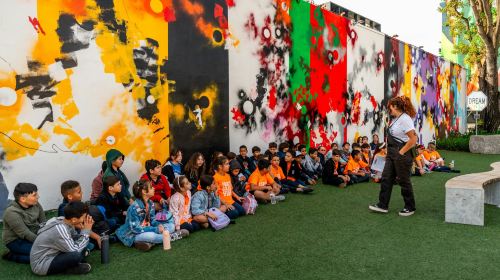 Wynwood Walls: General Admission + Small-Group Guided Tour