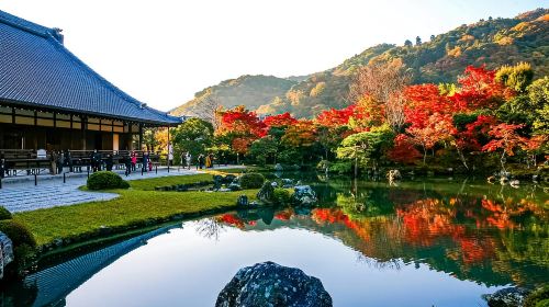From Nagoya: Kyoto Day Tour with Kobe Beef Shabu-Shabu Lunch Day Tours