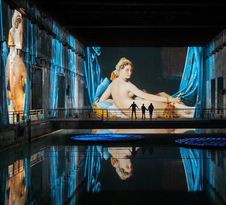 Bordeaux : Bassins des Lumières Billet d’entrée
