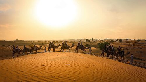 Dubai: Sunset Camel Trek, Al Khayma Camp, Stargazing & BBQ Day Tours
