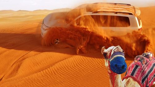 Dubai Desert Safari 1-day tour, High-Quality Red Sand + Transfers + Camel Ride + Dinner + Show + Hand Painting Day Tours