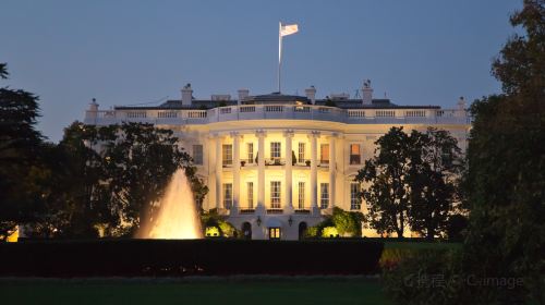 Washington D.C. 1 Day Tour From New York Day Tours